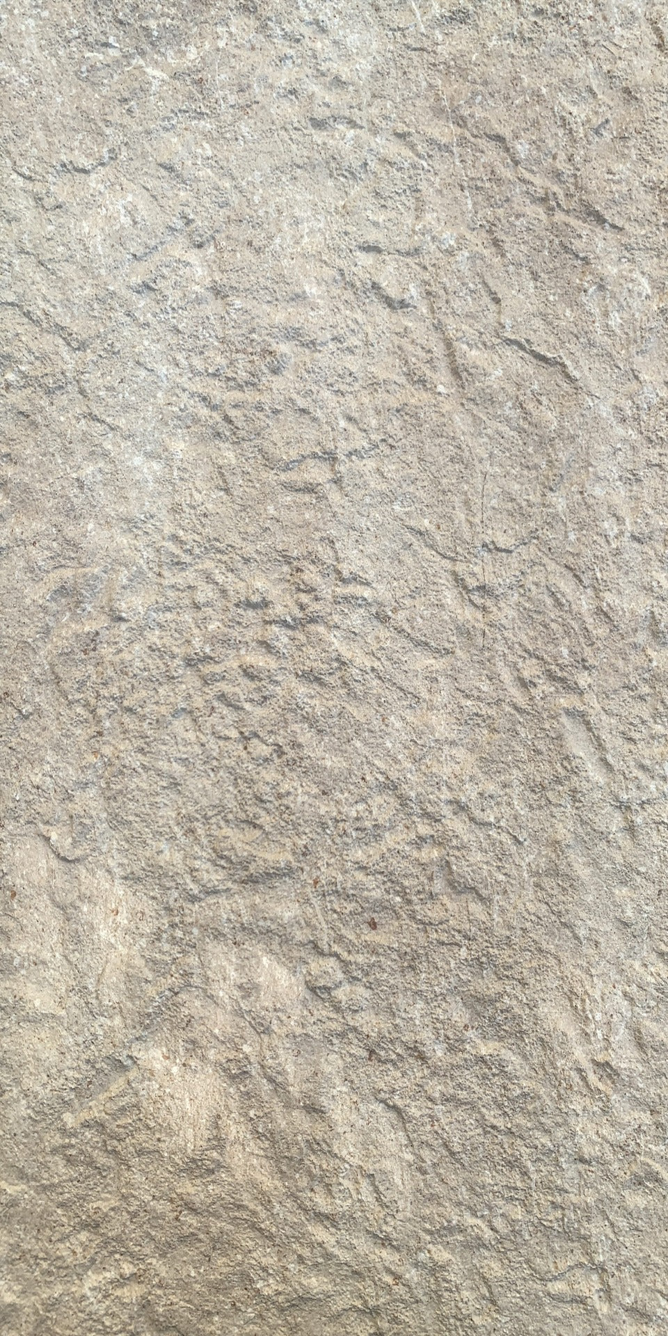 Rockcut Lime Stone Board