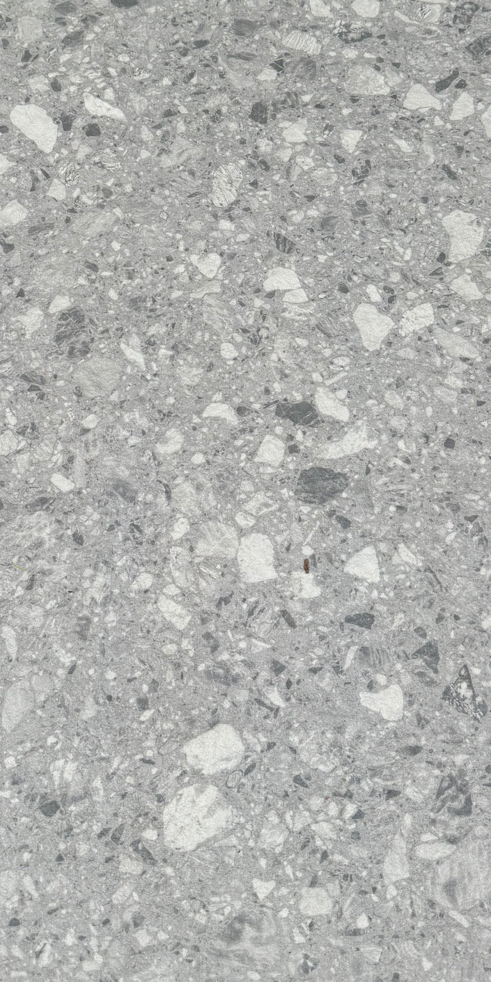 Terazzo Rough Stone