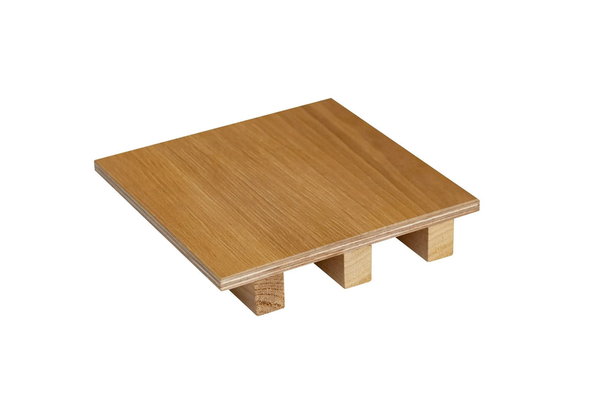 Thermo aspen 15 x 15 cm universal plate, three-quarter view